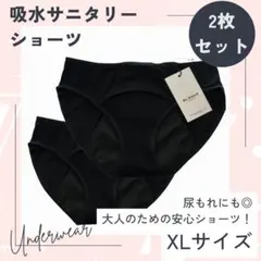 吸水サニタリーショーツXLサイズ ナプキン不要 尿もれ対策 2枚組 吸水ショーツ