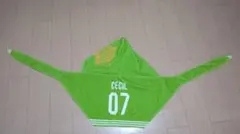 Item thumbnail for item 390b7c43-f38b-4409-914e-db5860ea8a3d