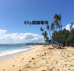 訳有りB品③ Elly諾様専用セット