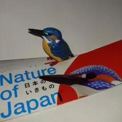 Nature of Japan 日本のいきもの01 カワセミのサムネイル