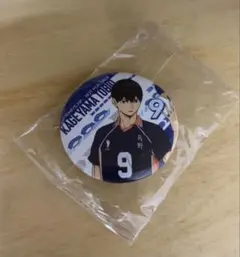 ＊ハイキュー 影山飛雄 ピンバッジ＊
