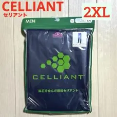 Item thumbnail for item f831cfc6-718a-4664-9bed-7825dd18c59d