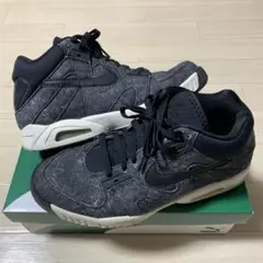 NIKE AIR TECH CHALLANGE Ⅲ 28.5cm used