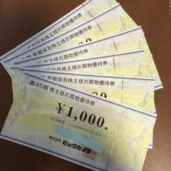 ビックカメラ 株主優待券 10枚セット