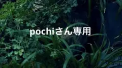 pochiさん専用TaniYuuki【Still love…this】たにくじ