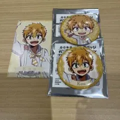 地縛少年花子くん　缶バッジ　特典ミニカード　Flowerpicnic 源光