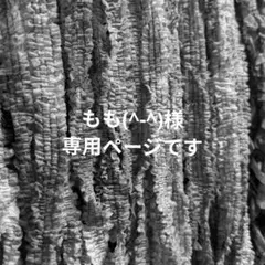 〚 もも(^-^)様専用ページ 〛