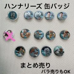 ハンナリーズ 缶バッジ 10周年