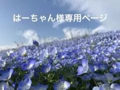 はーちゃん様専用ページ