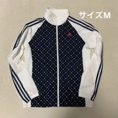 Item thumbnail for item 9c29b431-b93b-45fc-bce2-e53a9e885fff