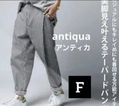 antiqua ストライプ テーパードパンツ F