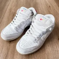 NIKE SB DUNK LOW PRO BETRUE dr4876-100