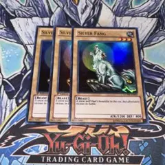 2025年最新】シルバー・フォングの人気アイテム - メルカリ