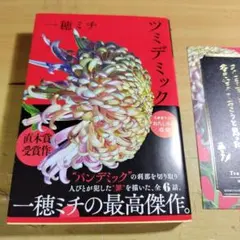 ツミデミック　栞付き