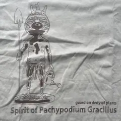 2025年最新】ozwrtの人気アイテム - メルカリ