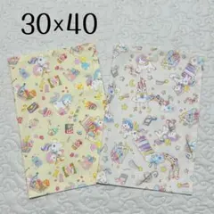 ランチョンマット 30×40 ユニコーン柄　2枚セット　女の子向け　女子　給食用