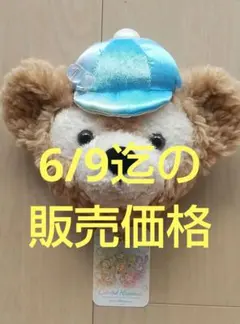 ディズニー バケーションパッケージ限定 ダッフィーポシェット 非売品 新品未使用