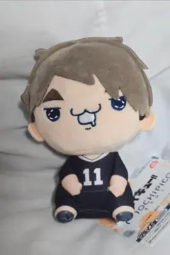ハイキュー‼︎もちぴこぬいぐるみ9 宮治