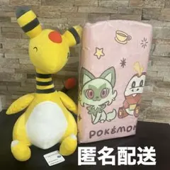 ポケットモンスター デンリュウ ぬいぐるみ　プレミアムフロアマット　2点セット