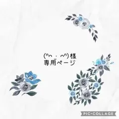 (ᐢᴖ ·̫ ᴖᐢ)様専用ページ