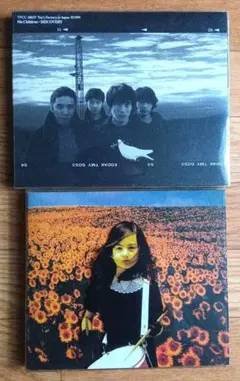 Item thumbnail for item f0bcccca-f696-402c-acb5-42436dff1936