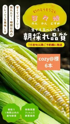 6.cozy様専用6本 朝どれスーパースイートコーン甘々娘】農薬不使用 鹿児島県のサムネイル
