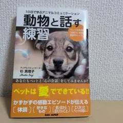 パンちゃん様 リクエスト 2点 まとめ商品