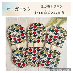 Item thumbnail for item 3a11682b-45b2-4b63-8c61-c8e6a79ad19a