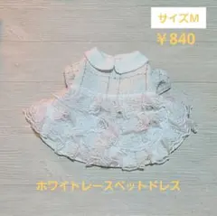 犬用ホワイトレースペットワンピース 襟付き