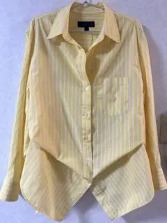 ZARA ストライプ長袖シャツ