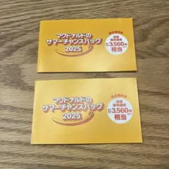 マクドナルド サマーチャンスバッグ2025 マック福袋