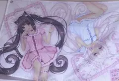 2026年最新】ネコぱら タペストリーの人気アイテム - メルカリ