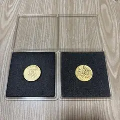 2026年最新】1976年モントリオールオリンピック記念メダルの人気