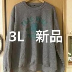 FEAR NONE スウェットトレーナーグレー