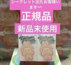 【正規品・未開封】 Labubu Big into Energy 2箱 ラブブ