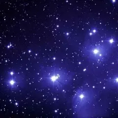 まりも様*専用ページ