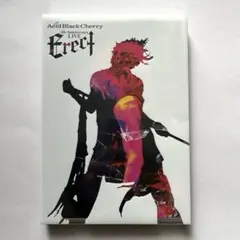 美品 Acid Black Cherry 初回限定仕様 Erect 2枚組DVD