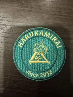 HARUKAMIRAI ワッペン 楕円形 刺繍　ハルカミライのサムネイル