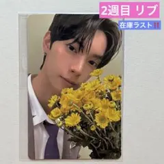 リブ