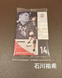 バレーボール　男子日本代表　ウエハース　石川祐希