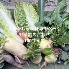 しゃりじゅん様専用ページ 野菜詰め合わせ100サイズ