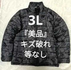 Item thumbnail for item 099485f2-0d0e-4955-9760-3043017fd996