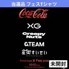 &team tシャツ