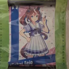 ウマ娘　トウカイテイオー　ミニタペストリー