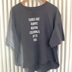 【 Cecile 】 半袖　Tシャツ　グレー　XLのサムネイル