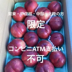 ネクタリン16玉②5kg箱 クール便のサムネイル