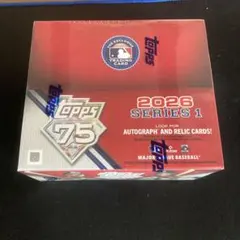 入手困難 レア品】 NFL 第24回 スーパーボウル トレーディングカード