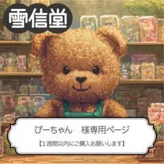 ぴーちゃん様専用　２点おまとめ