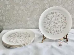 Noritake キューティーローズ　ケーキ皿 廃盤品　一枚売り