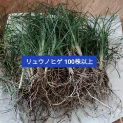 gmgmgm23様 リクエスト 3点 まとめ商品